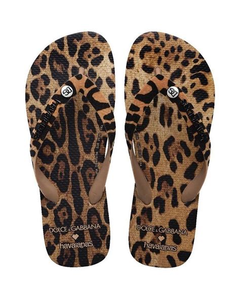 havaianas x dolce & gabbana|havaianas flip flops sale.